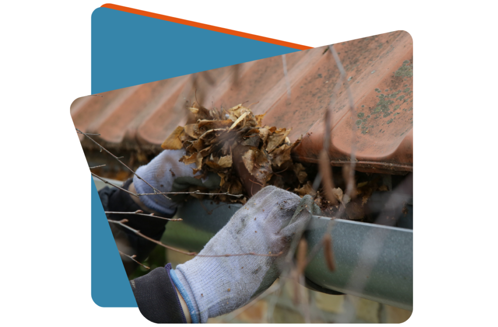 Green N Clean Gutter Cleaning Services