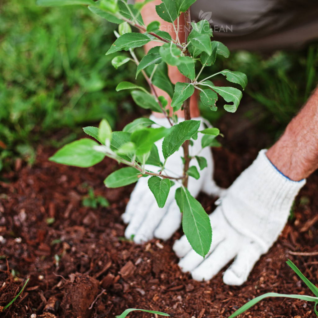 GARDEN MAINTENCE Green N Clean