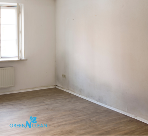 Mould Flooding Auckland