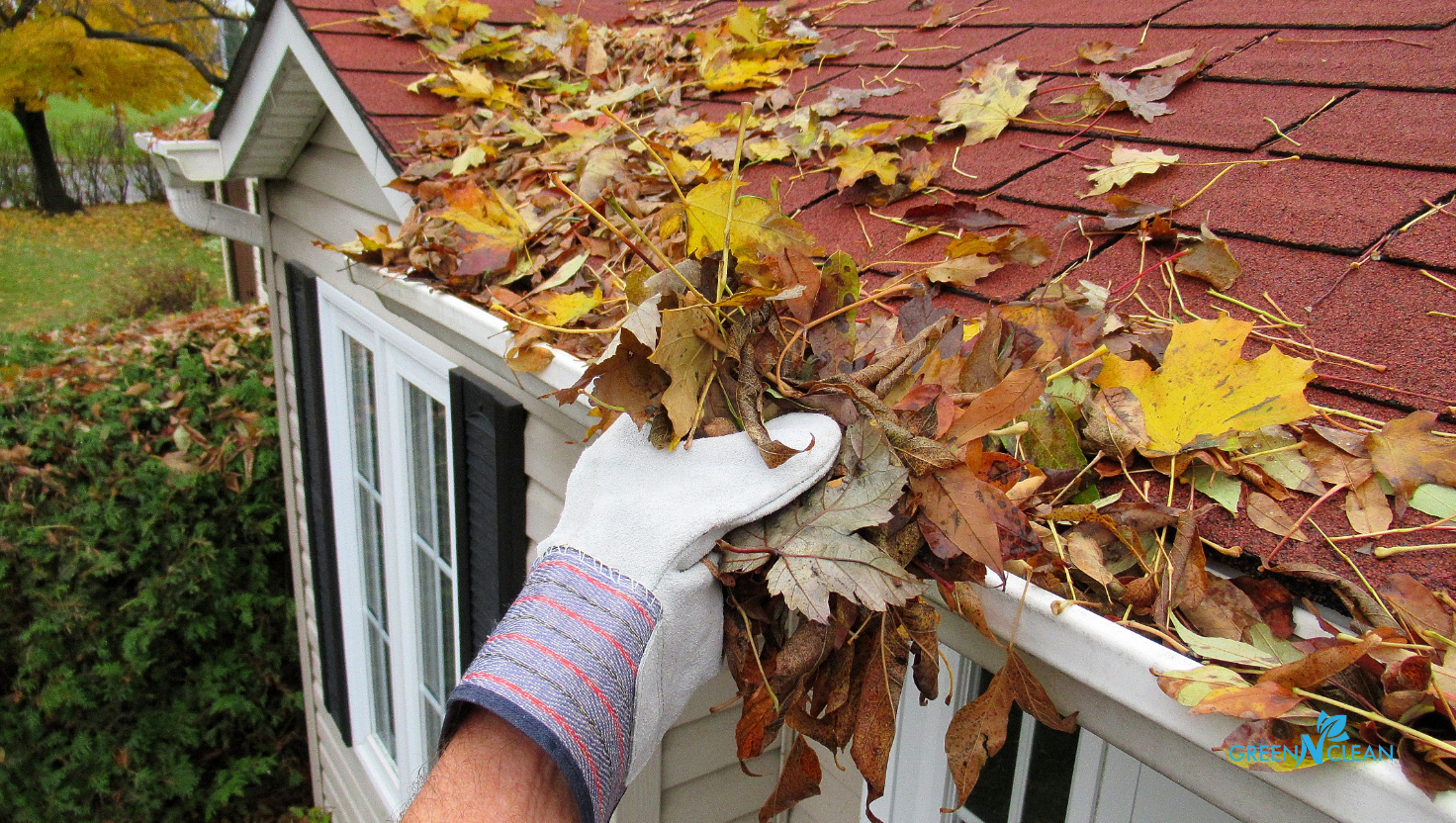 Gutter Clean in Auckland