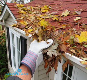 Gutter Clean in Auckland