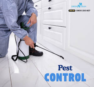 Pest Control Auckland