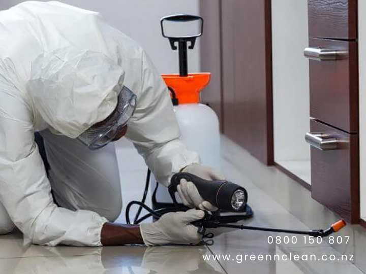 pest-control1