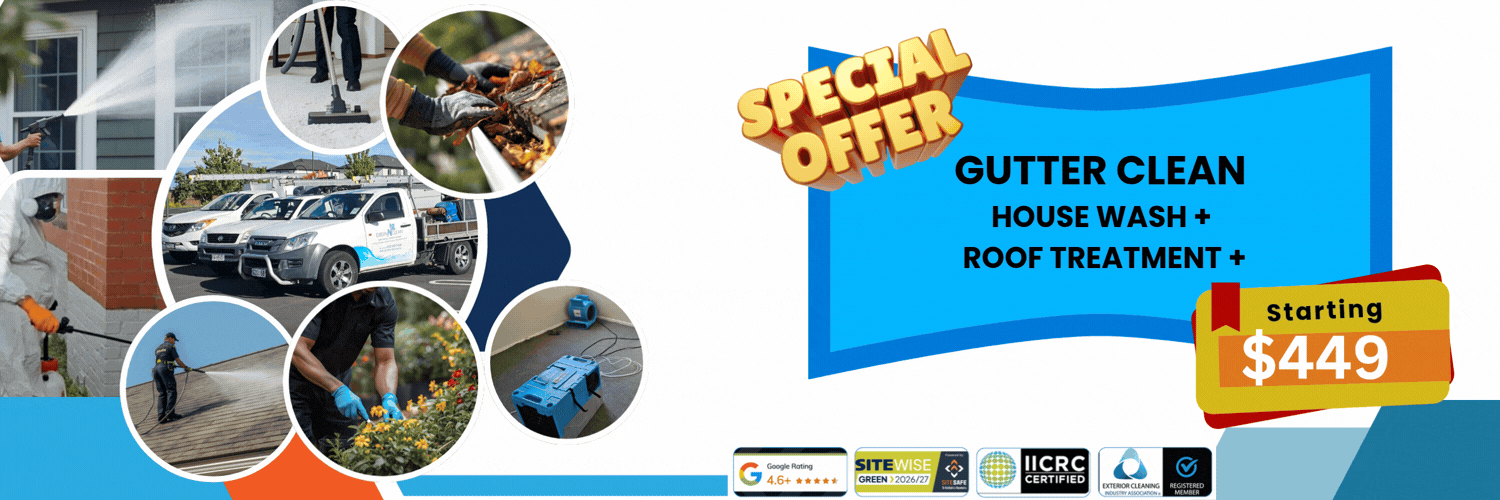 Special Offer